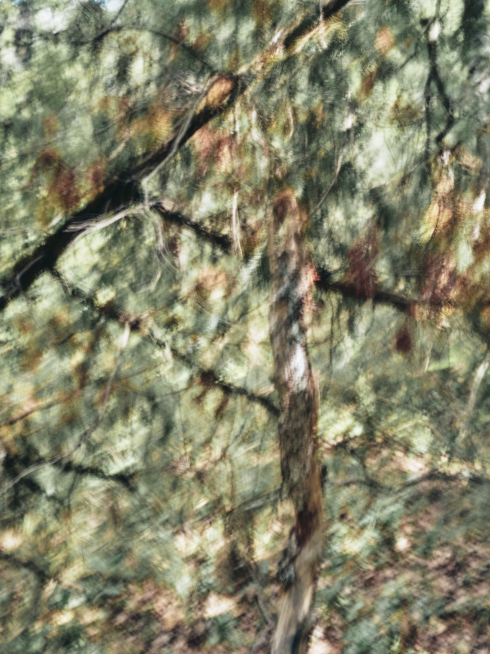 Ahp0078 AIQ4 010952 J2560